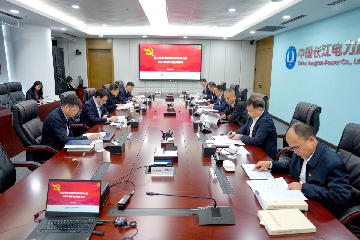 장강전력당위원회 이론연구센터그룹은 당 중앙위원회 제20기 제4차 전체회의 정신 연구를 전문으로 하는 그룹